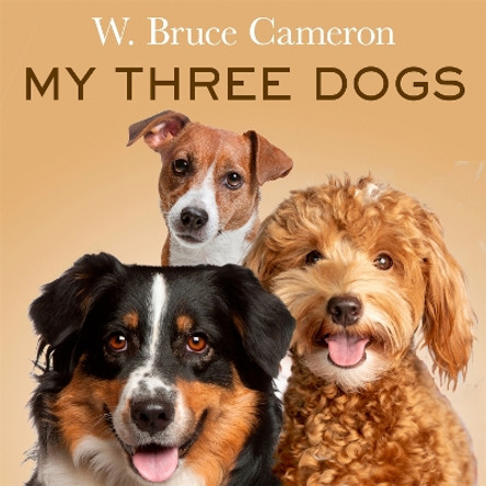 My Three Dogs W. Bruce Cameron 9781035063222