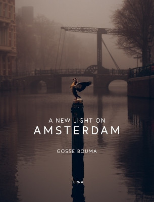 A New Light on Amsterdam Gosse Bouma 9789401446341