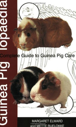 Guinea Piglopaedia: a Complete Guide to Guinea Pigs by Margaret Elward 9781860542510 [USED COPY]