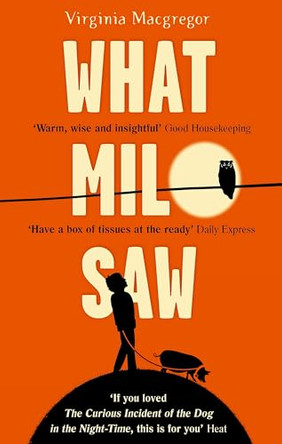 What Milo Saw: He sees the world in a very special way . . . by Virginia MacGregor 9780751554274 [USED COPY]