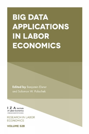 Big Data Applications in Labor Economics Benjamin Elsner 9781836087137