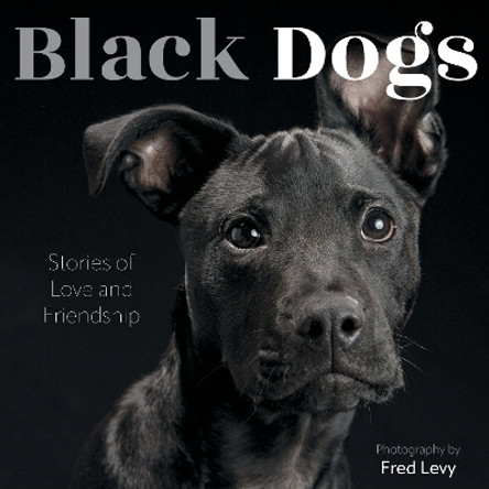 Black Dogs: Stories of Love and Friendship Fred Levy 9780760394502