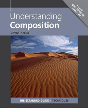 Understanding Composition by David Taylor 9781781450512 [USED COPY]