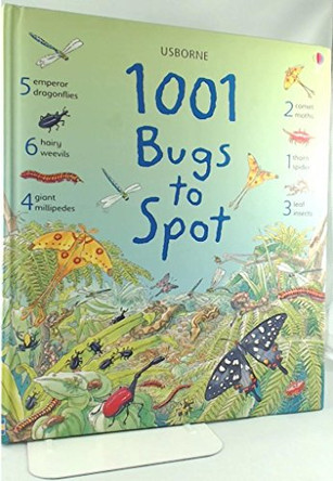 1001 Bugs Things to Spot by Emma Helborough 9781409505143 [USED COPY]