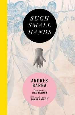 Such Small Hands by Andres Barba 9781945492006