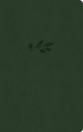 NASB Single-Column Personal Size Bible, Olive Leathertouch by Holman Bible Publishers 9798384502067