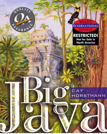 Big Java by Cay S. Horstmann 9780471453055 [USED COPY]