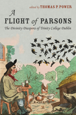 A Flight of Parsons by Thomas P Power 9781532609114