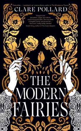 The Modern Fairies by Clare Pollard 9780241672457 [USED COPY]