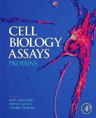 Cell Biology Assays: Proteins by Kreitzer Geri 9780123756923