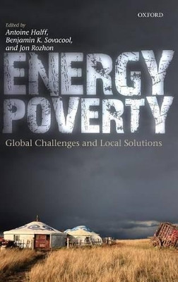 Energy Poverty: Global Challenges and Local Solutions by Antoine Halff 9780199682362