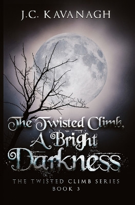 A Bright Darkness by J C Kavanagh 9780228624059