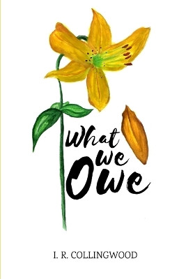 What We Owe by I R Collingwood 9780244755065