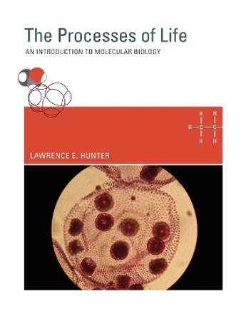 The Processes of Life: An Introduction to Molecular Biology by Lawrence E. Hunter 9780262517379