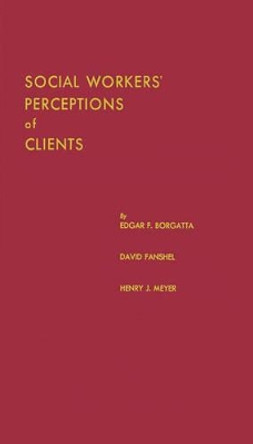 Social Workers' Perceptions of Clients: A Study of the Caseload of a Social Agency by E. F. Borgatta 9780313228124