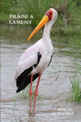 PRAISE & LAMENT: Psalms for the God of Birds by Jane Beal 9780359368464