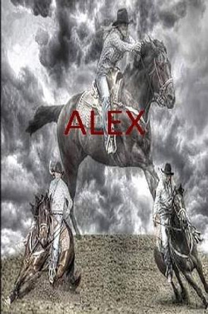 ALEX by Michael W. Evans 9780359701100