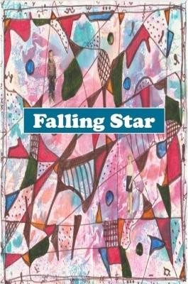 Falling Star 2019 by Matt J. McGee 9780359986330