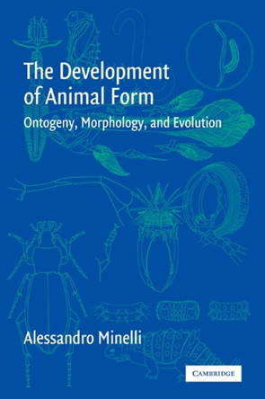 The Development of Animal Form: Ontogeny, Morphology, and Evolution by Alessandro Minelli 9780521025188