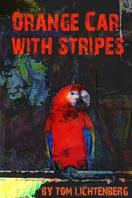 Orange Car with Stripes Tom Lichtenberg 9780557209446
