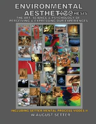 Environmental Aesthetics Hypothesis: The Art, Science, & Psychology of Perceiving & Expressing Our Experiences by W August Setter 9780578341187