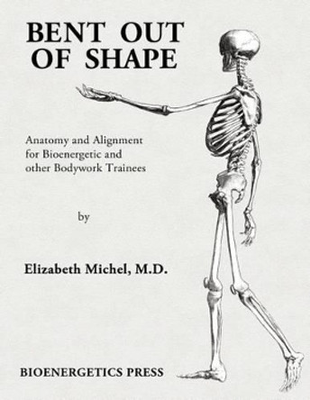 Bent Out of Shape by Elizabeth Michel 9780615292090