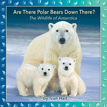 Are There Polar Bears Down There?: The Wildlife of Antarctica by Trish Hart 9780648011200