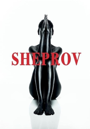 SheProv by Akilah Logan 9780692100264