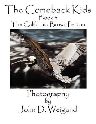The Comeback Kids, Book 3, the California Brown Pelican by Penelope Dyan 9780979481567