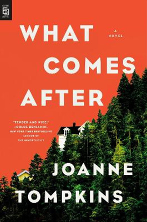 What Comes After by JoAnne Tompkins