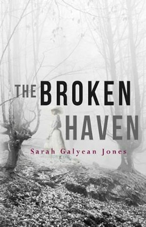 The Broken Haven by Sarah Galyean Jones 9780985725082