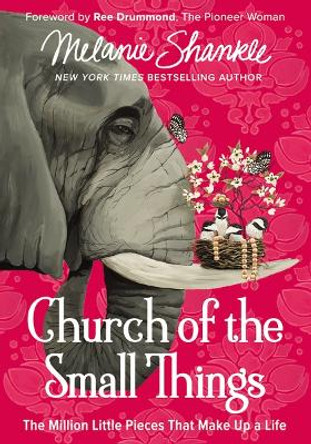 Church of the Small Things: The Million Little Pieces That Make up a Life by Melanie Shankle 9780310351030