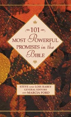 101 Most Powerful Promises in the Bible by Steve Rabey 9780446532143