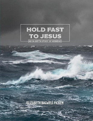 Hold Fast to Jesus: An in-depth study of Hebrews by Jeannine Klingbeil 9780990593362