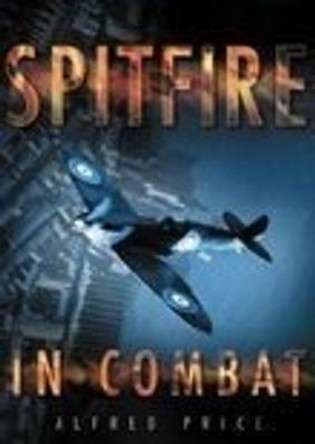 Spitfire in Combat by Terry Price
