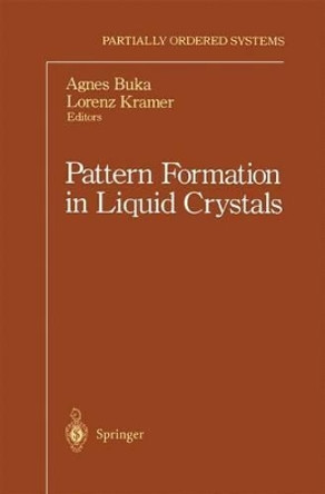 Pattern Formation in Liquid Crystals by Agnes Buka 9780387946047