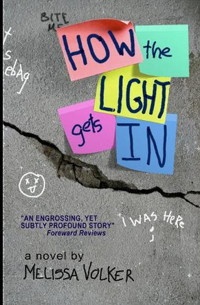 How the Light Gets in by Melissa Volker 9780999701621
