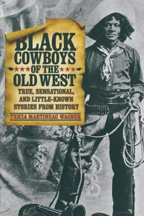 Black Cowboys of the Old West: True, Sensational, And Little-Known Stories From History by Tricia Martineau Wagner