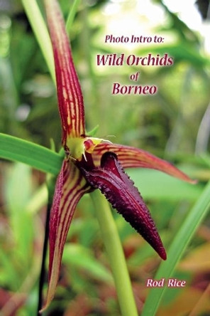 Photo Intro to: Wild Orchids of Borneo by Rod Rice 9780987620613