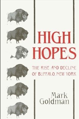 High Hopes: The Rise and Decline of Buffalo, New York by Mark Goldman 9780873957359