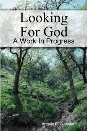 Looking For God by Angela Wheeler 9780557578931