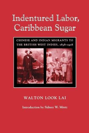 Indentured Labor, Caribbean Sugar: Chinese and Indian Migrants to the British West Indies, 1838-1918 by Walton Look Lai