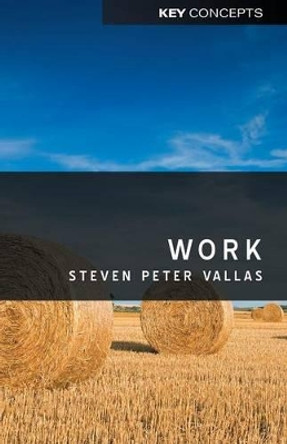 Work: A Critique by Steven Vallas 9780745646794