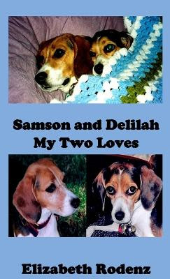 Samson and Delilah by Elizabeth Rodenz 9780972269452