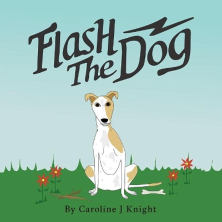 Flash the Dog by Caroline Knight 9780648145943
