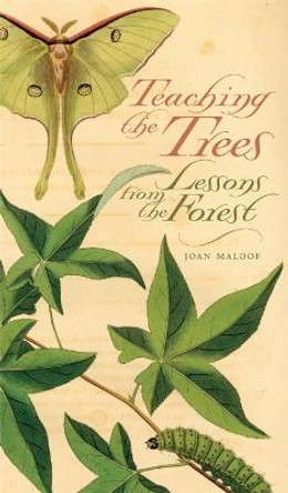 Teaching the Trees: Lessons from the Forest by Joan Maloof