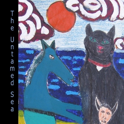 The Untamed Sea by Ronald Q Henriques 9780955340048