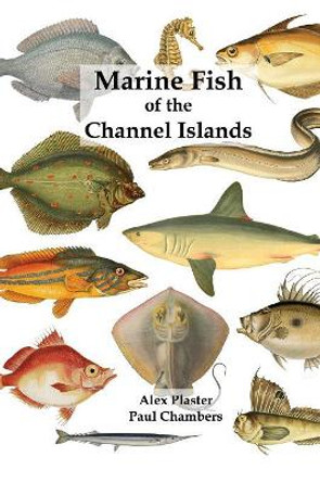 Marine Fish of the Channel Islands by Paul Chambers 9780956065568