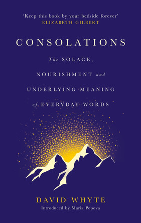 Consolations: The Solace, Nourishment and Underlying Meaning of Everyday Words by David Whyte 9781786897633 [USED COPY]