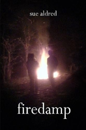 Firedamp by Sue Aldred 9780955686856